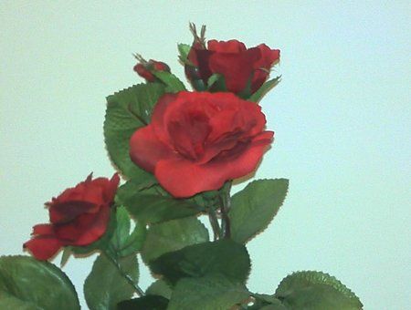 2011-02-08_18-36-45_964.jpg
