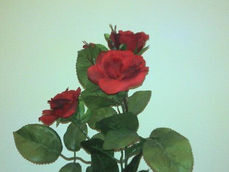 2011-02-08_18-46-59_120.jpg