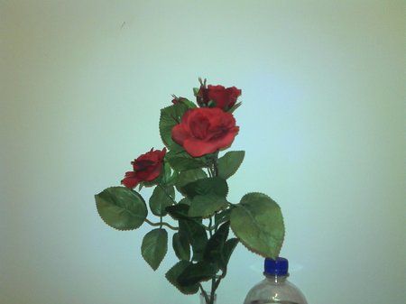 2011-02-08_19-06-00_870.jpg