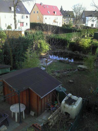 2011-02-09_15-31-32_804.jpg