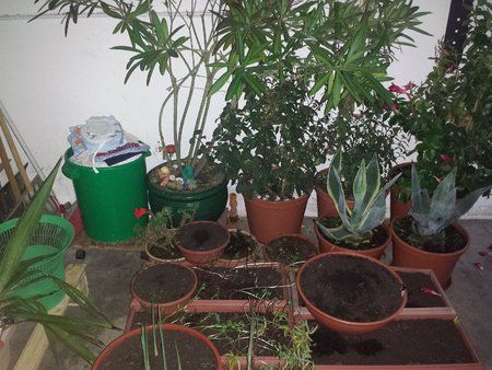 20131106_164422.jpg