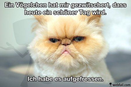 postvög.jpg