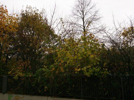 20131121130309.jpg