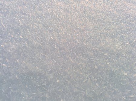 IMG_20131127_164108.jpg