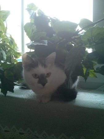 IMG_20131130_115859.jpg