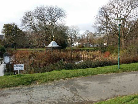 20131201_123225.jpg