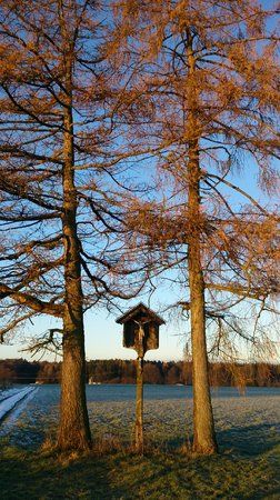DSC_0139.jpg