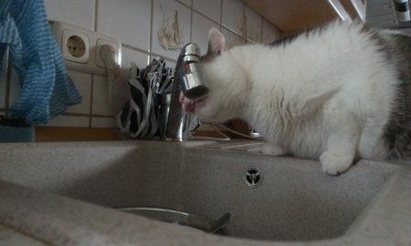IMAG0014.jpg