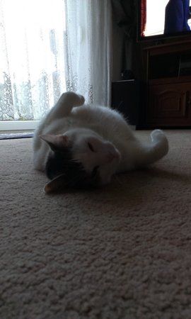 IMAG0016.jpg