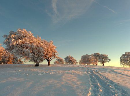 IMG_20131127_163012.jpg