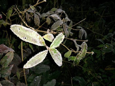 IMG_20131127_073318.jpg