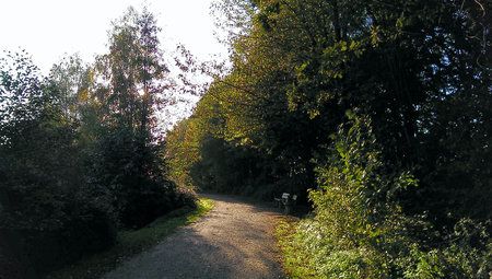 IMAG0172.jpg