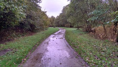 IMAG0451.jpg