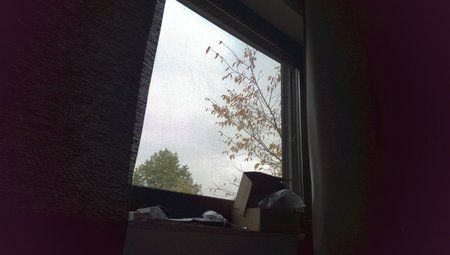 IMAG0556.jpg