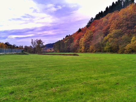C360_2010-10-31 11-34-30.jpg