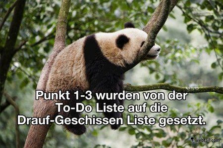 posttodo.jpg