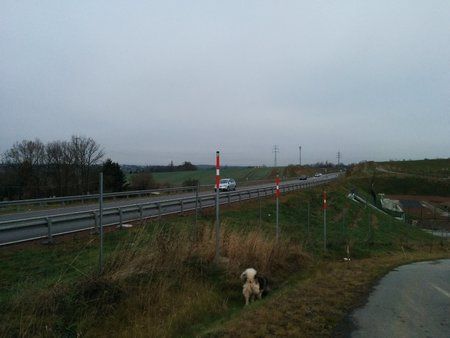 IMG_20131211_094000.jpg