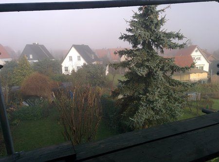 IMG_20131211_120903.jpg