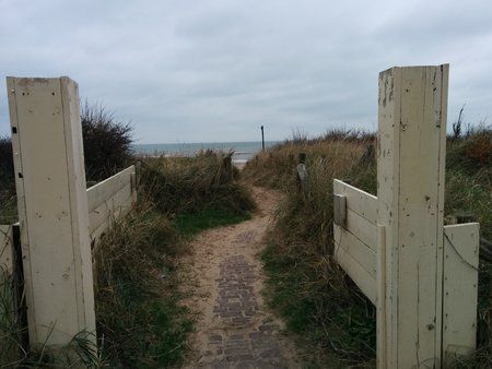 IMG_20131223_133621.jpg