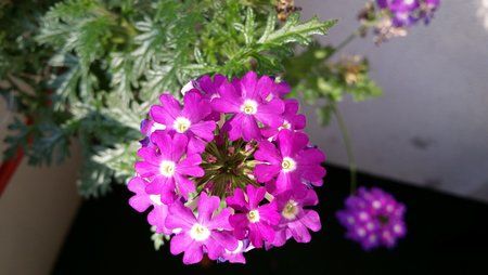 20131022_150043.jpg