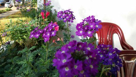 20131022_150236.jpg