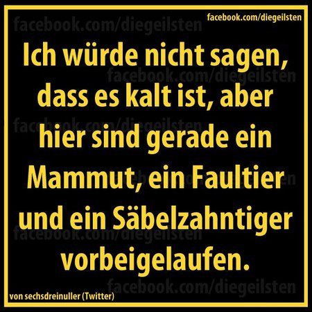 diegeilsten_kalt.jpg