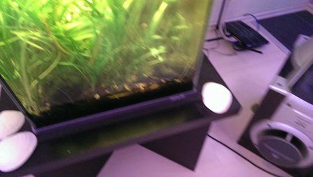 IMAG0034.jpg