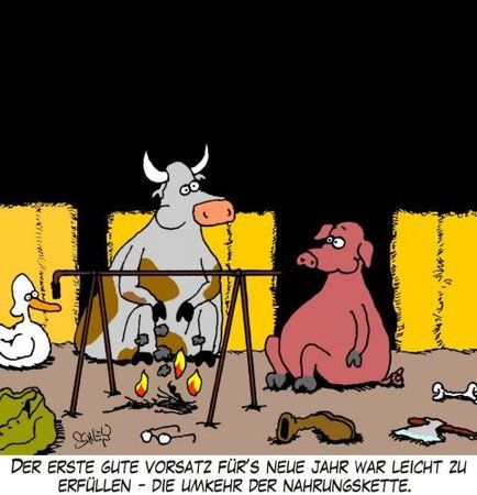 Nahrungskette.jpg