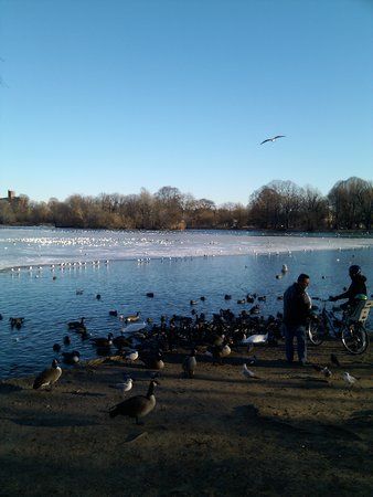 2010-01-10 14.53.59.jpg
