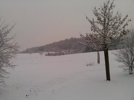 2010-01-25 16.20.30.jpg