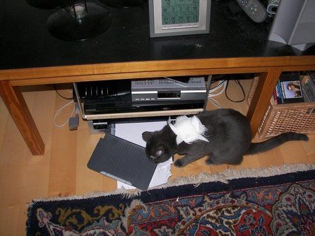 100_0740.jpg