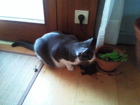 2010-12-02 13.48.38.jpg