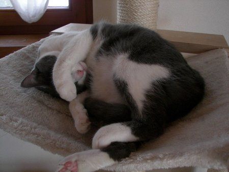 100_0762.jpg
