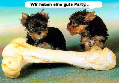 http___coolebilder.org_wp-content_uploads_2013_06_hunde-und-knochen.jpg