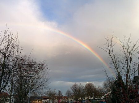 2014-01-07 15.29.53.jpg