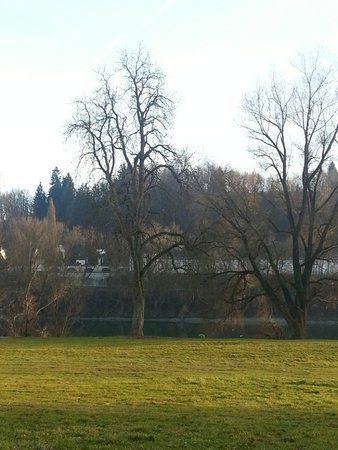 IMG_20140108_163802.jpg