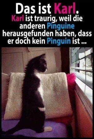 12.01.14 - 1.jpg