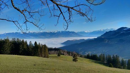 IMG_20140112_144549_HDR.jpg