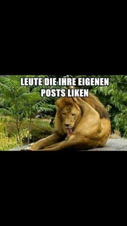 uploadfromtaptalk1389687542451.jpg