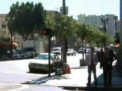 stupid_cops.jpg