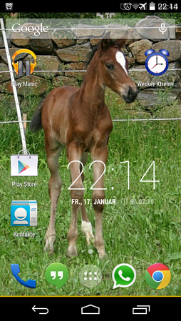 Screenshot_2014-01-17-22-14-18.png