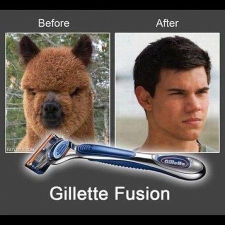 http___www.freeloljokes.com_products_1916FUNNY%20PIC_3.jpg