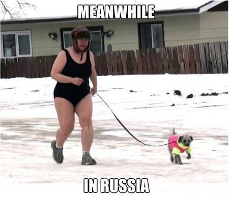 sense-this-picture-makes-none_o_1224988.jpg