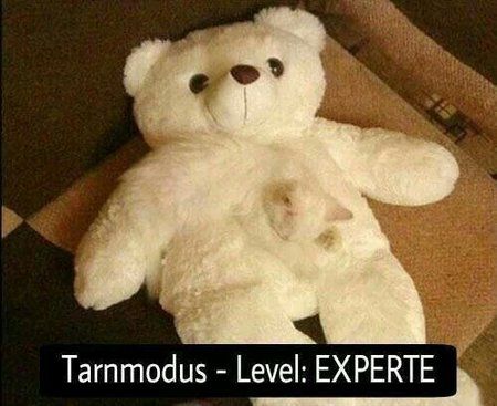 uploadfromtaptalk1390461581688.jpg