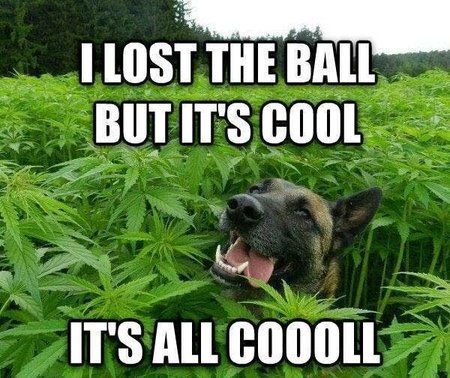 Cool.jpg