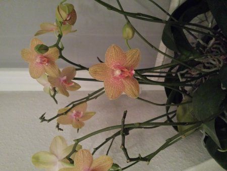 20140123_060133.jpg