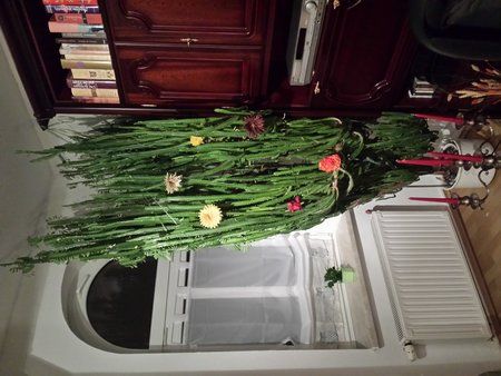 20140123_060232.jpg