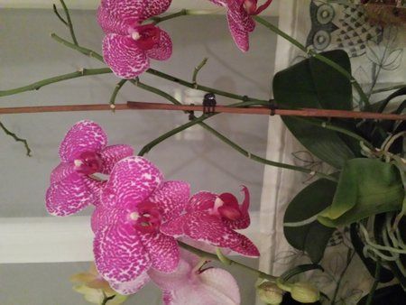 20140123_060116.jpg