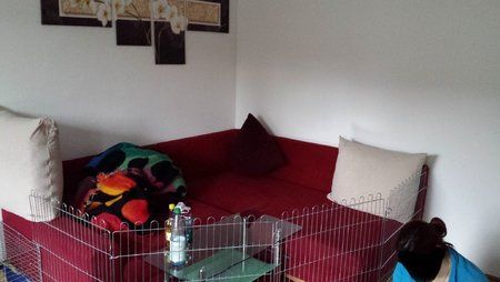 20140124_110430.jpg