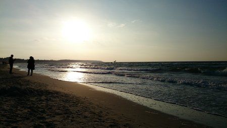 DSC_0056.jpg